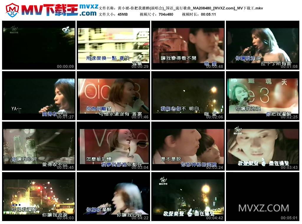 黄小琥-你把我灌醉(演唱会)_国语_流行歌曲_MA208480